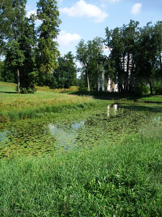 Park River Forest