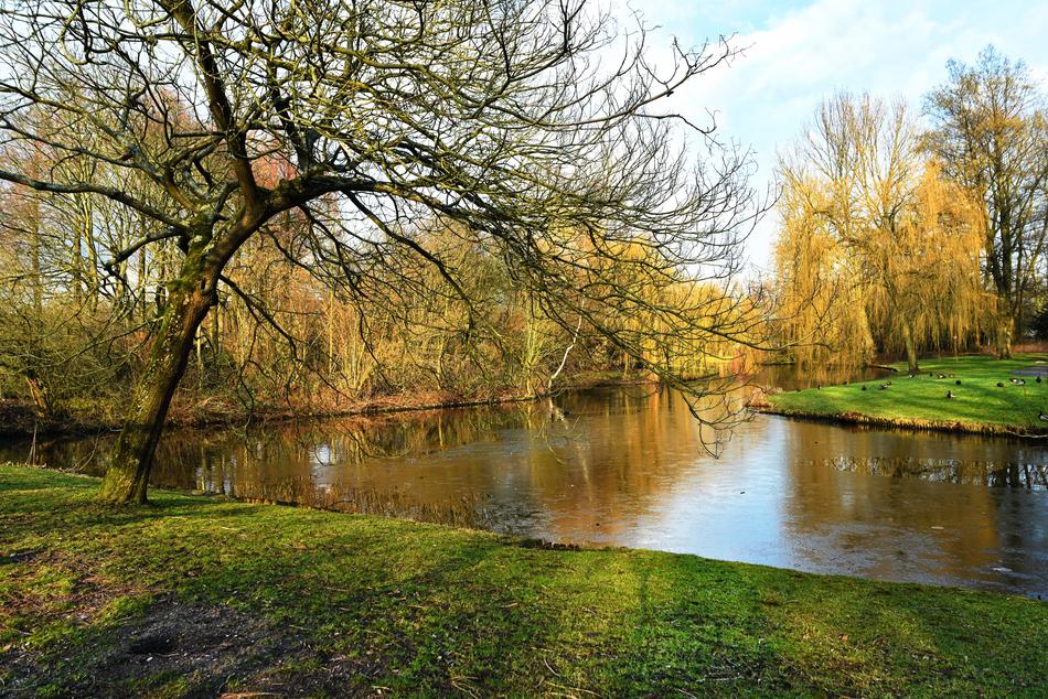 Pond Water Lake