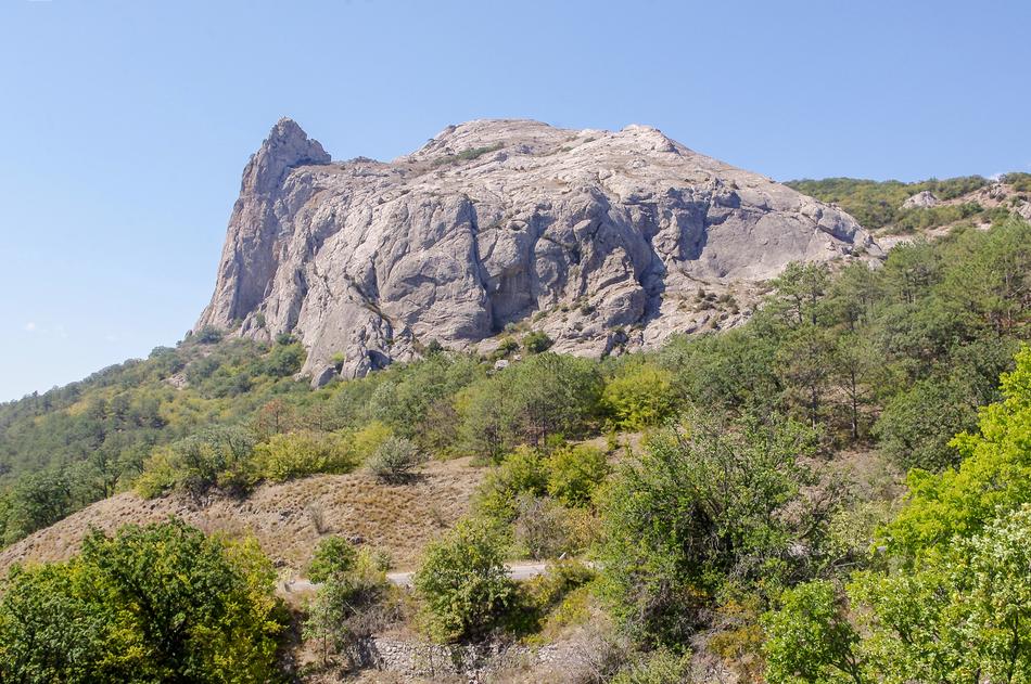 big rock in the woods
