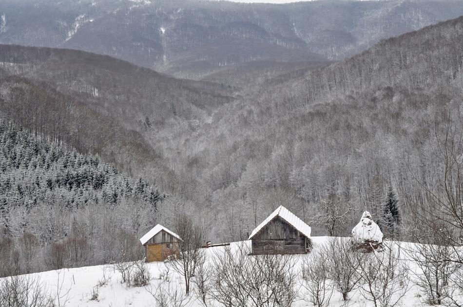 Snow Winter Mountain