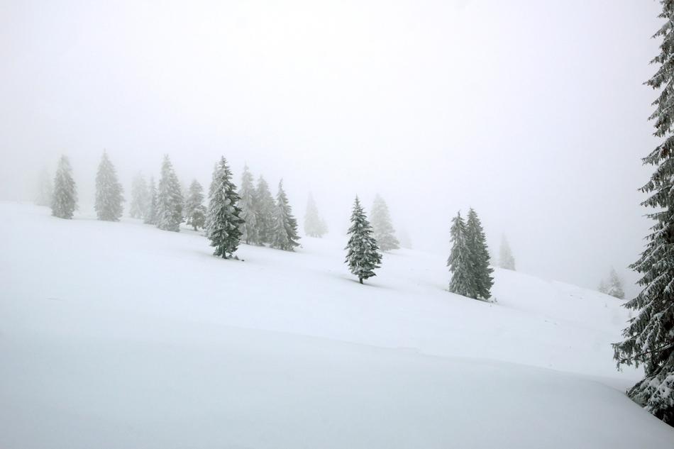 Snow Winter Cold