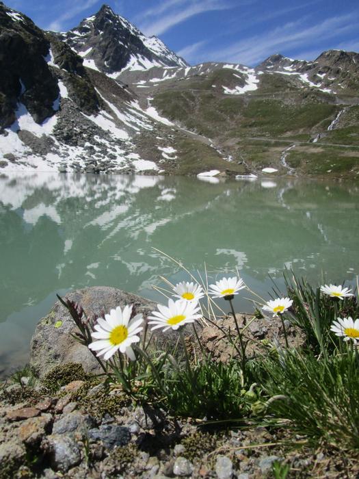 beautiful alps
