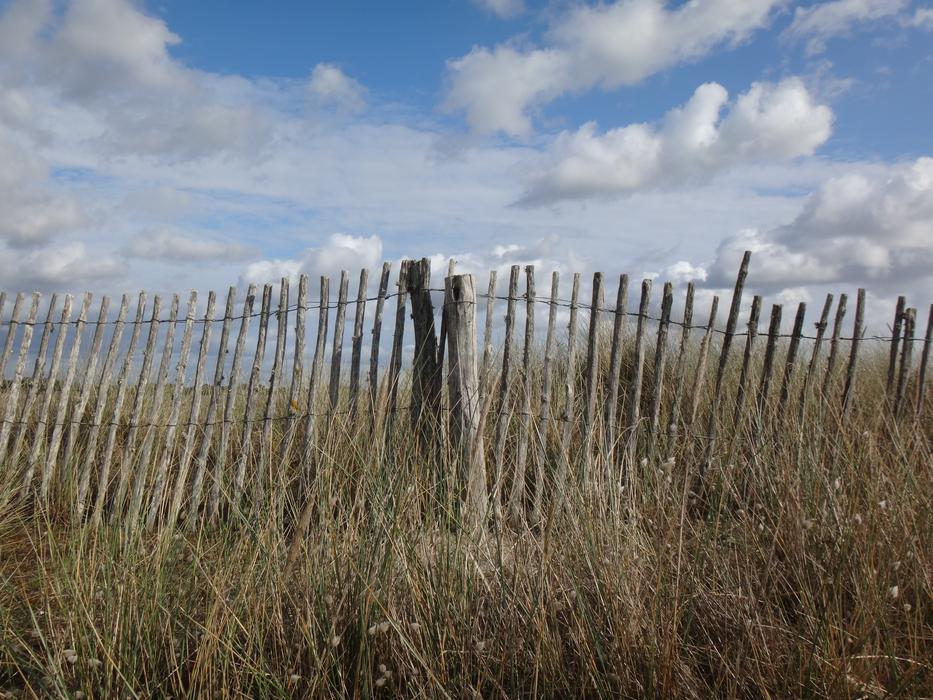 Nature Sky Landscape
