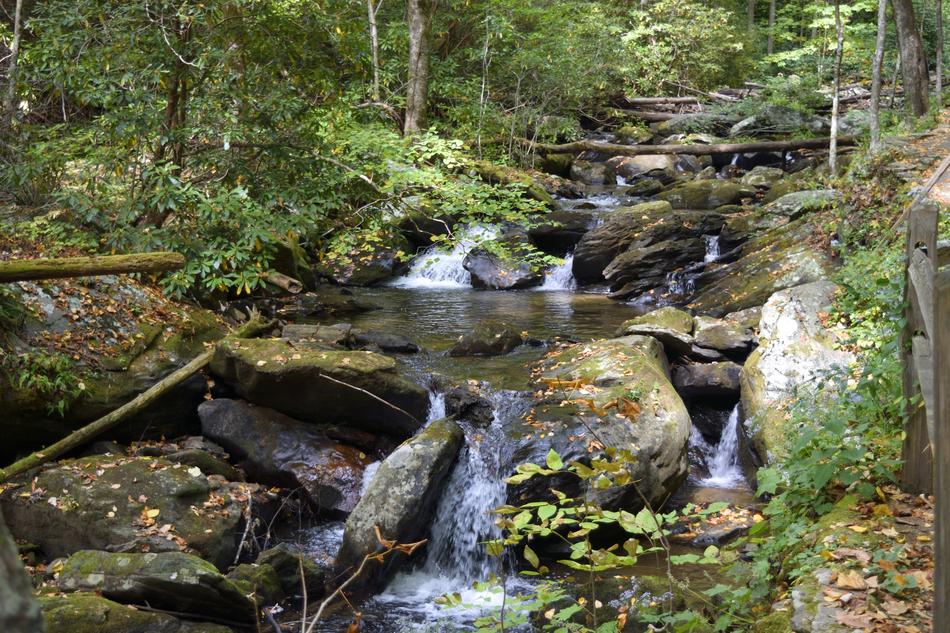 Water Stream Nature