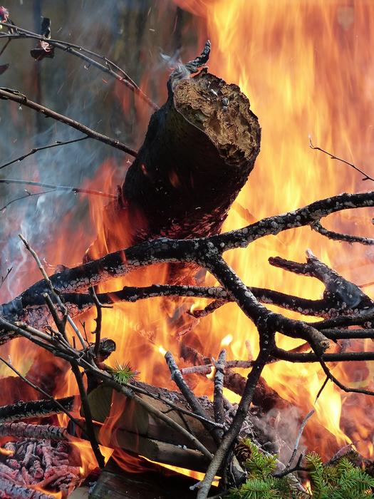 terrible fire in the woods