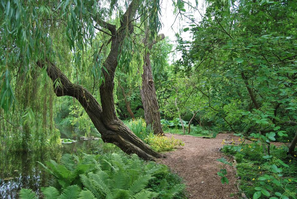 Garden Botanical Green