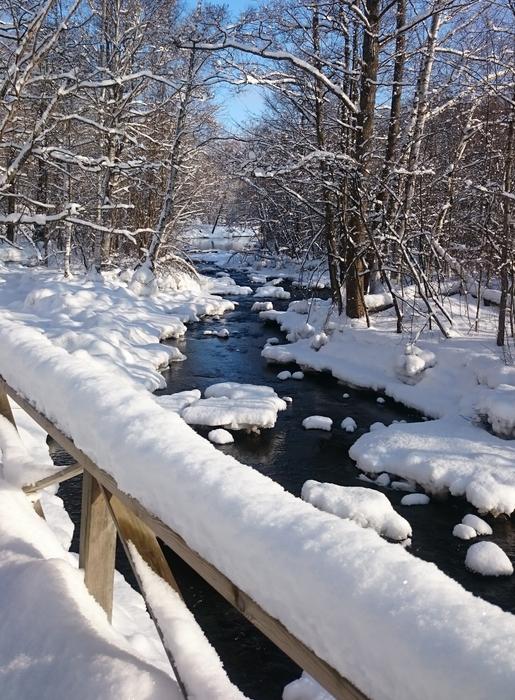 Winter Snow Cold