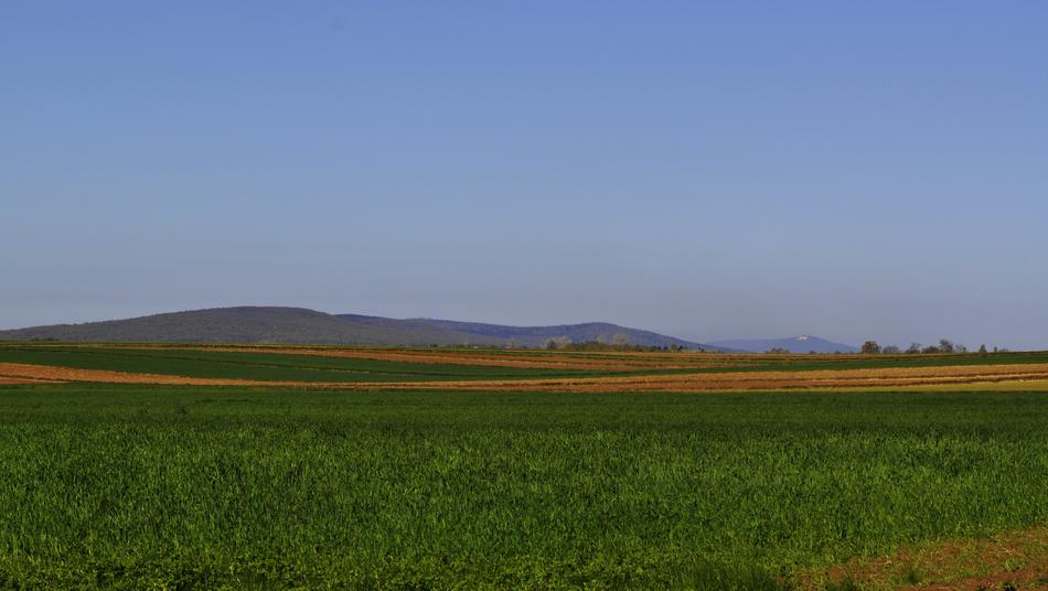 green field panorama