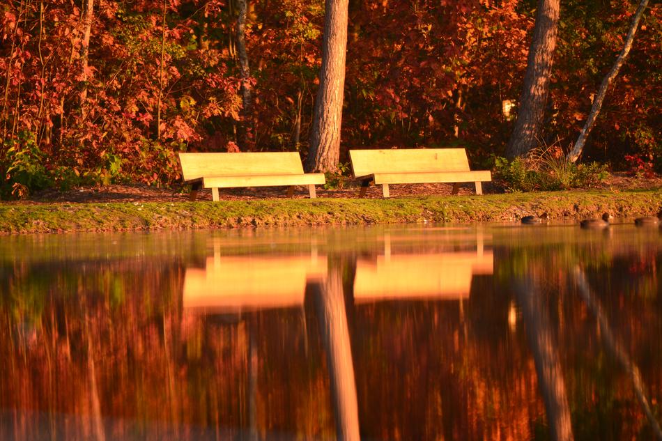 Nature Bank Morning Sun