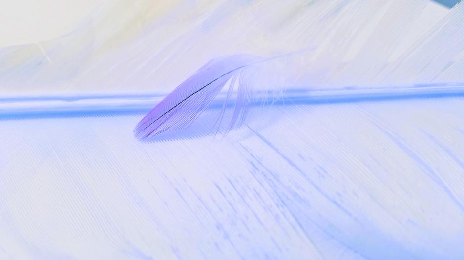 Cold Abstract Blur