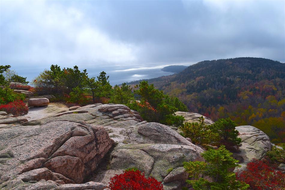 Mountain Trees Rocks