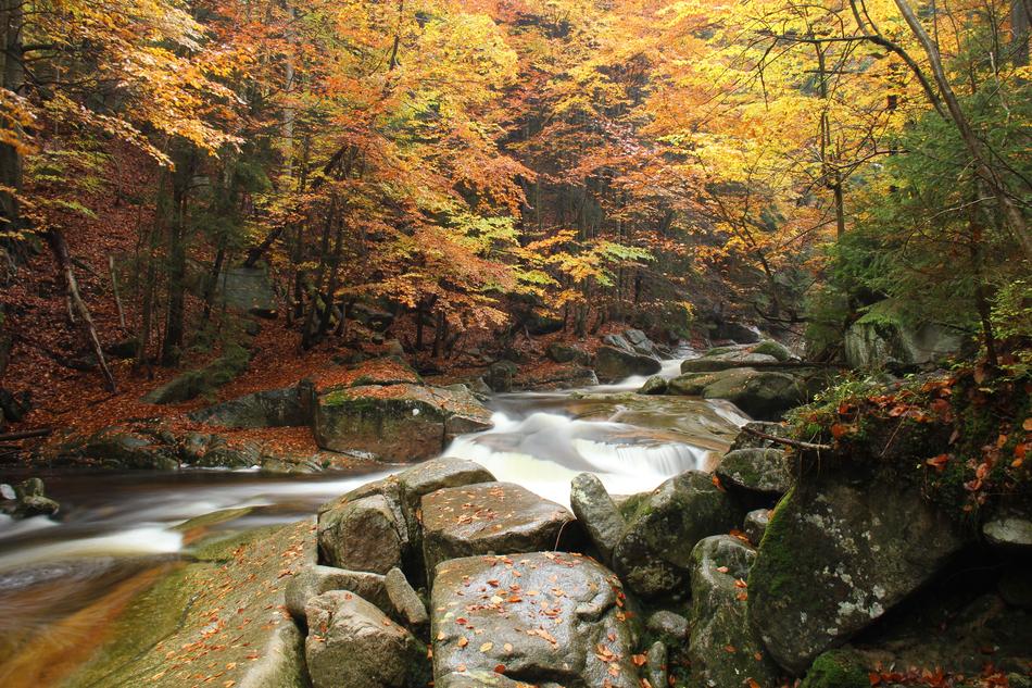 Mumlava River Nature The Giant