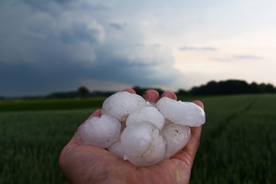 Hail Peel-Off End Of A