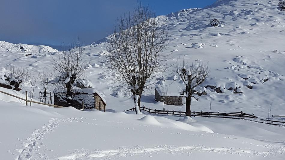 Snow Winter Cold