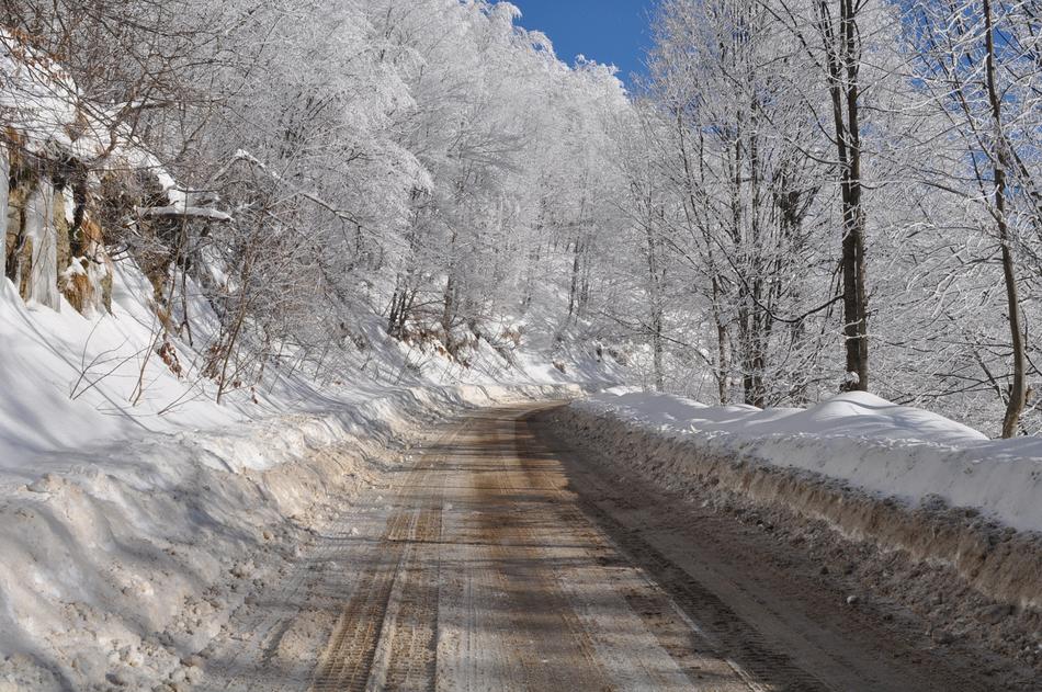 Winter Snow Nature