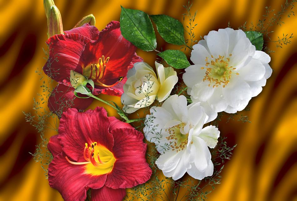 Flower Nature Plant