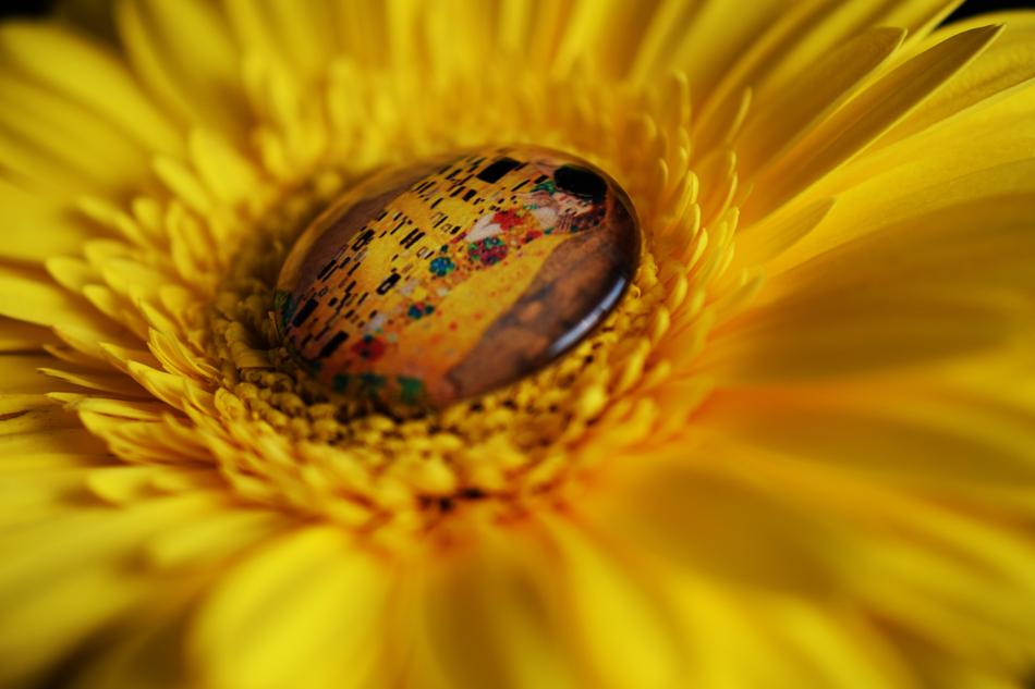 Yellow Flower
