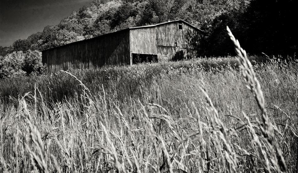 Black And White Barn