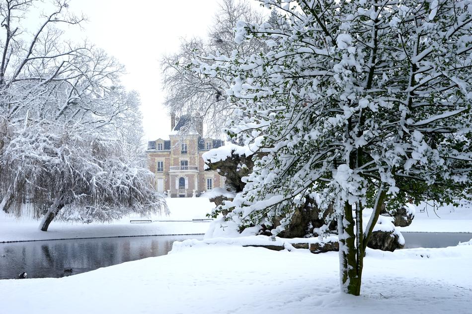 Snow Winter Frost