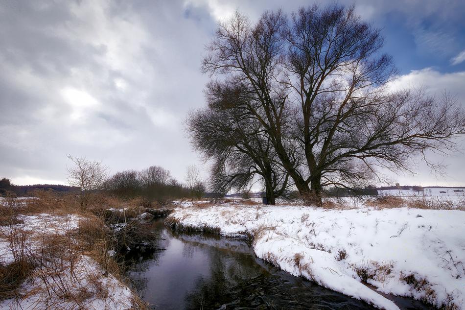 Winter Bach Wintry