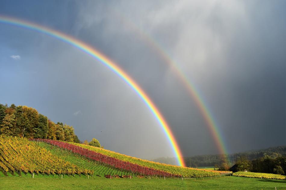Rainbow Rain Landscape