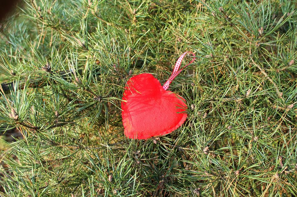 Heart Red Valentine'S Day