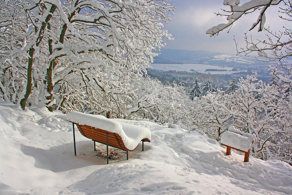 Snow Winter Cold