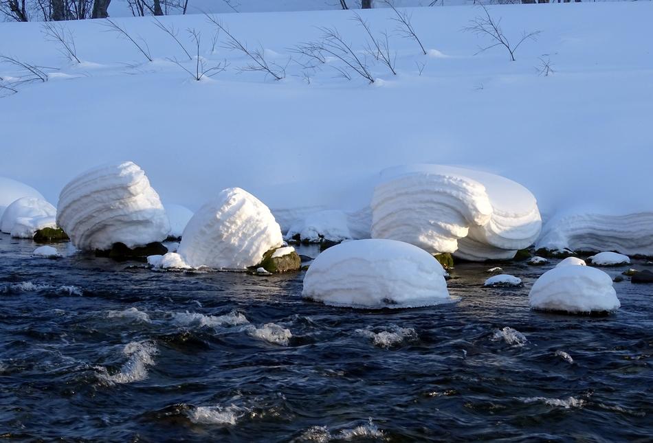 Forest River Winter