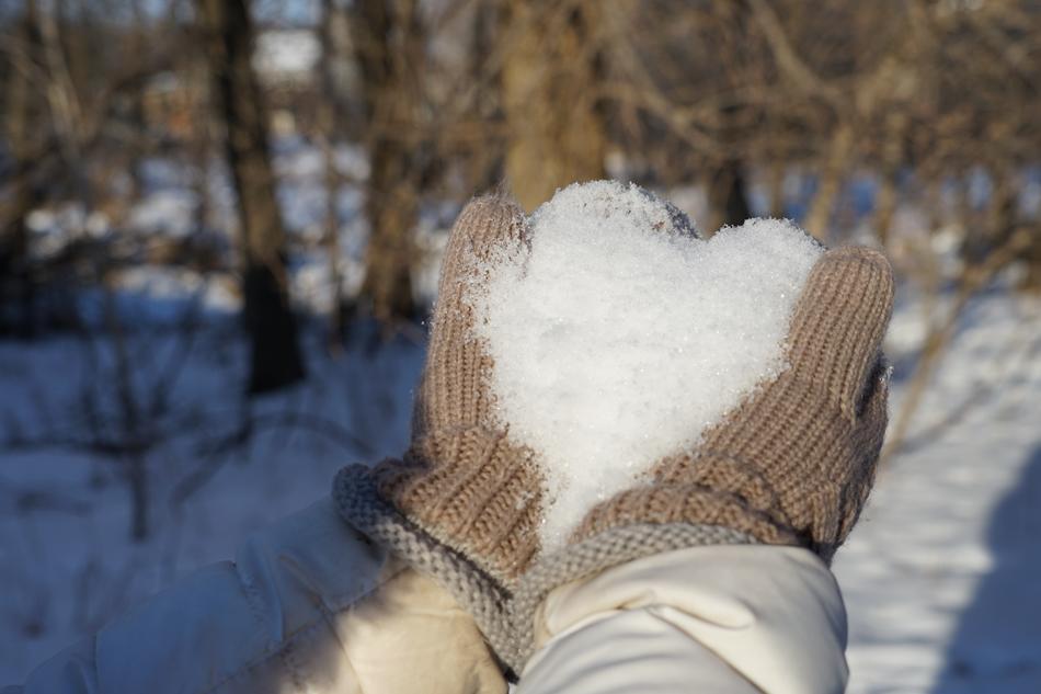 Winter Snow Cold
