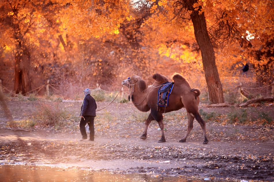 In Xinjiang Nature