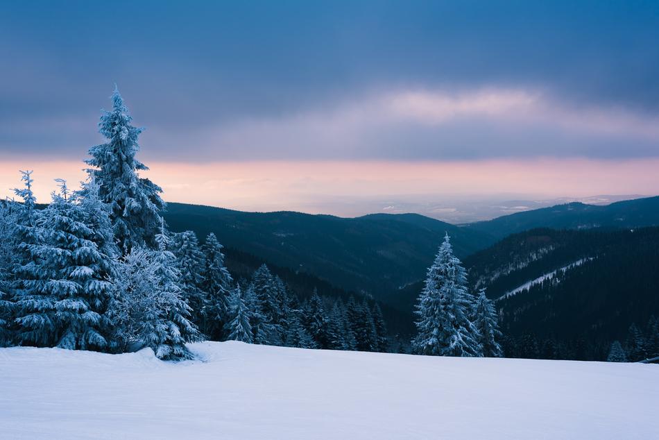 Snow Winter Cold