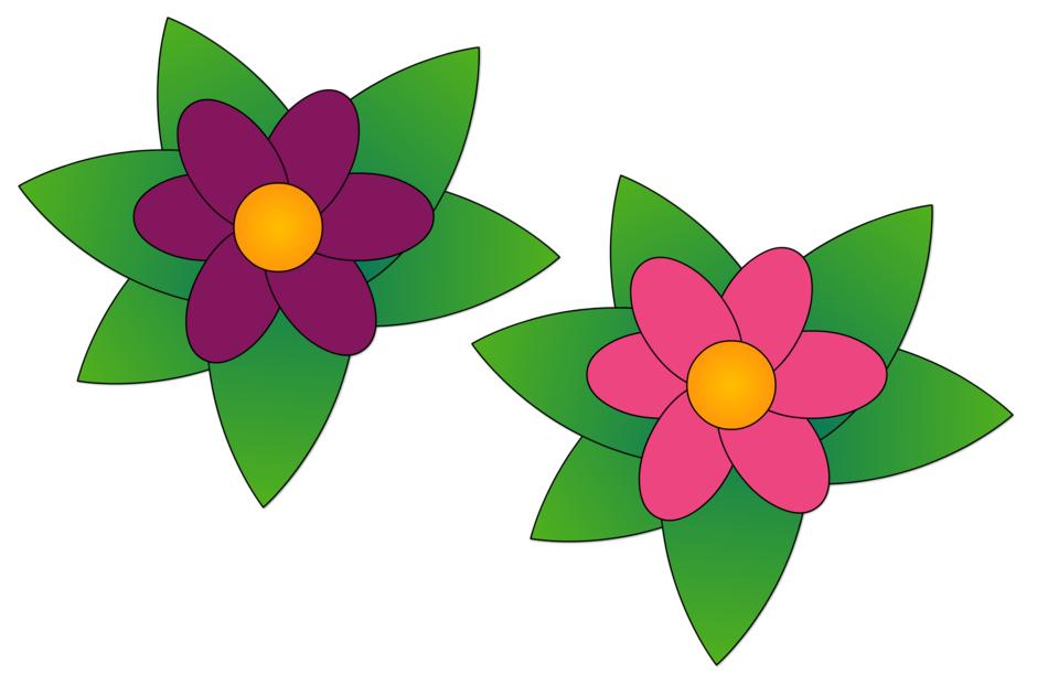 flowers garden plants flora flower