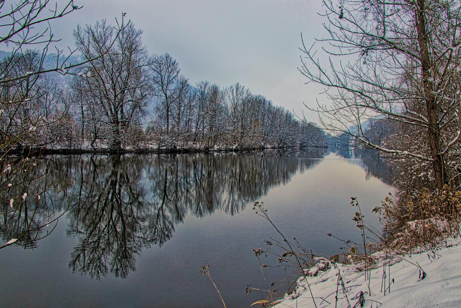 Winter Nature Tree