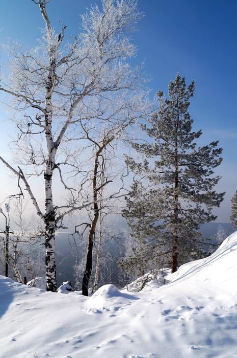 Snow Winter Cold