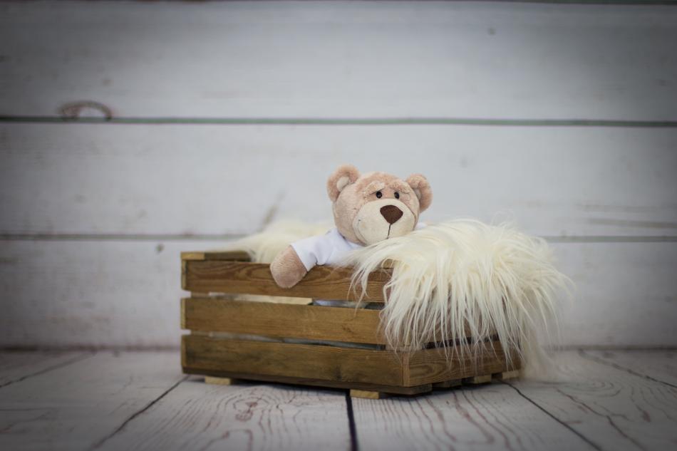 Teddy Inside Box