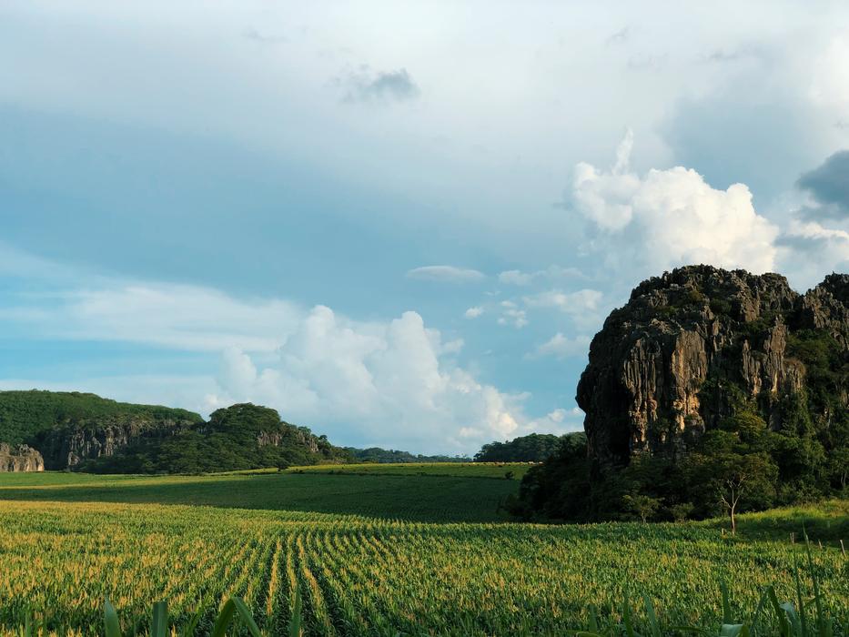Nature Landscape Outdoors