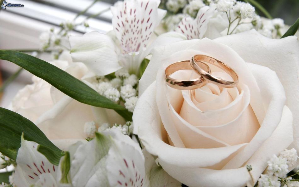 Flower Wedding Nature