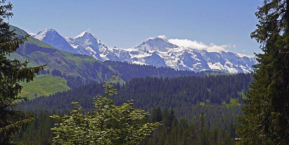 Eiger Monk Virgin Mountain