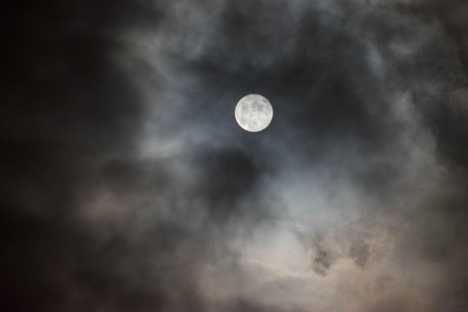 Dark Nature
