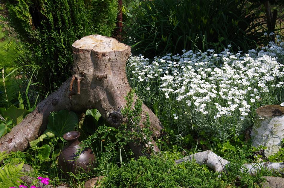 Nature Trunk