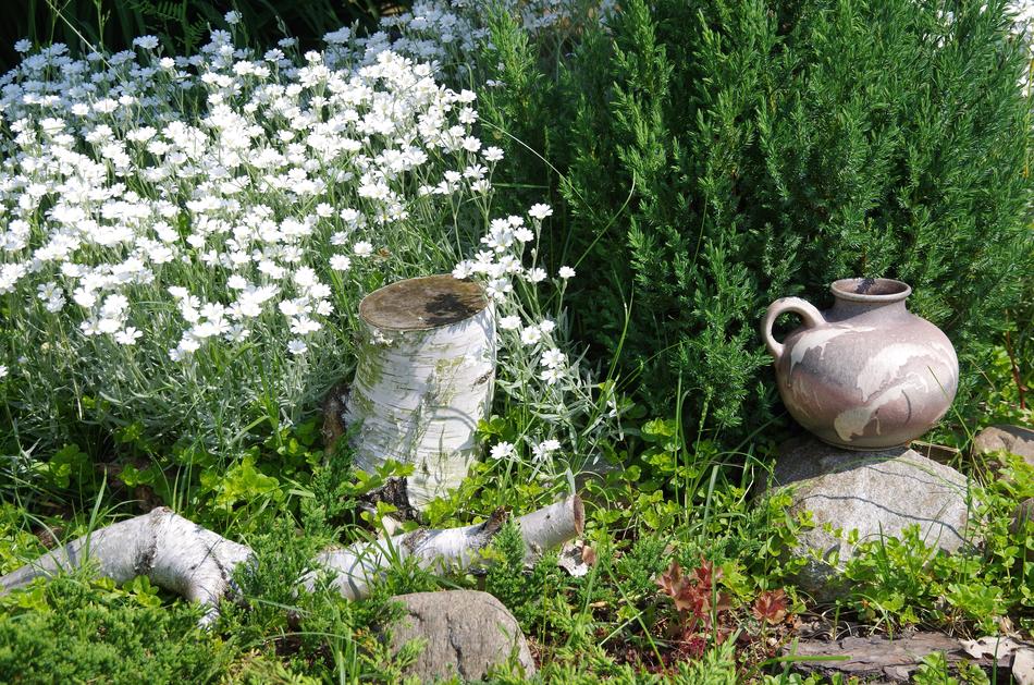 Nature Garden Spring