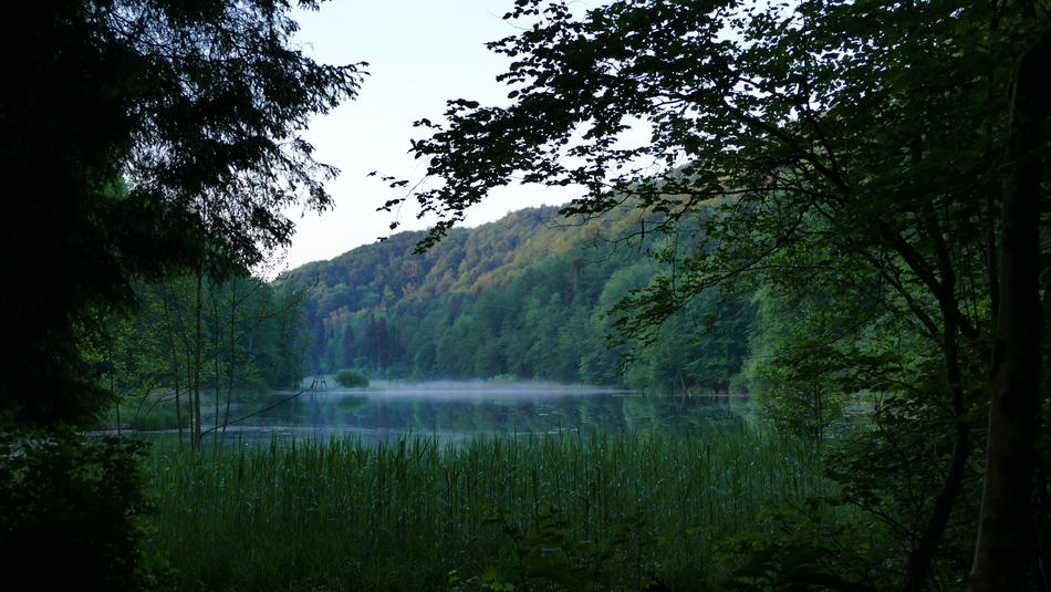 Landscape Nature Reserve Lake