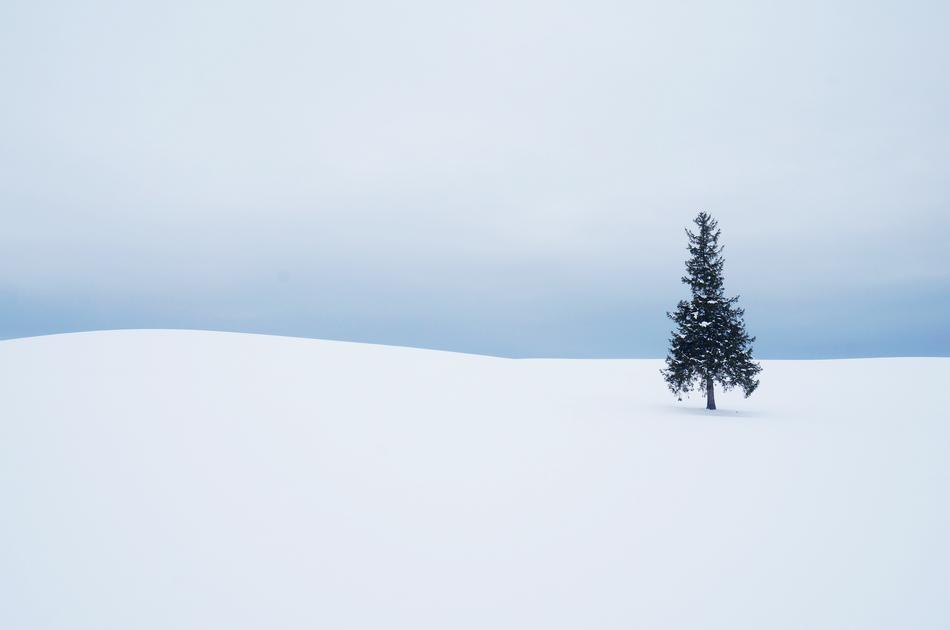 Winter Snow Some People Don'T