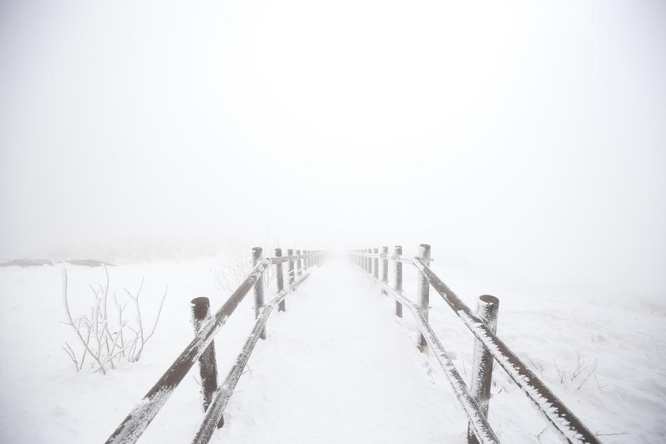 Winter Snow Nature