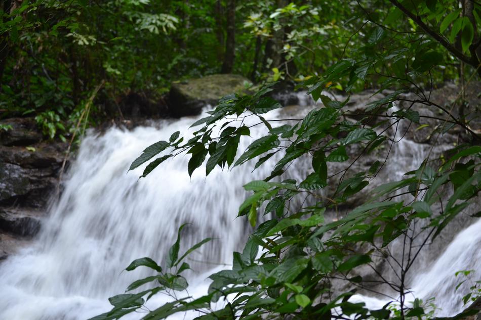Waterfall Water Nature