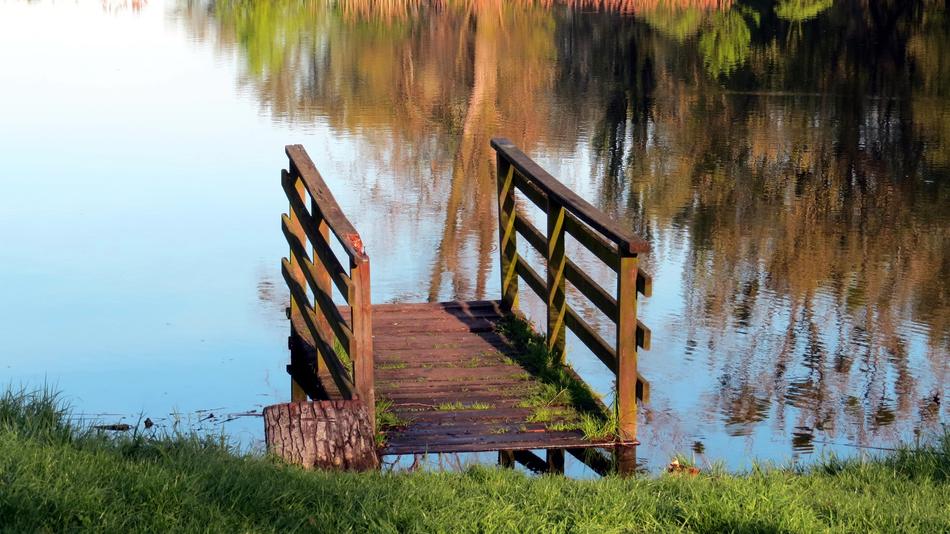 a small bridge by a river in the woods