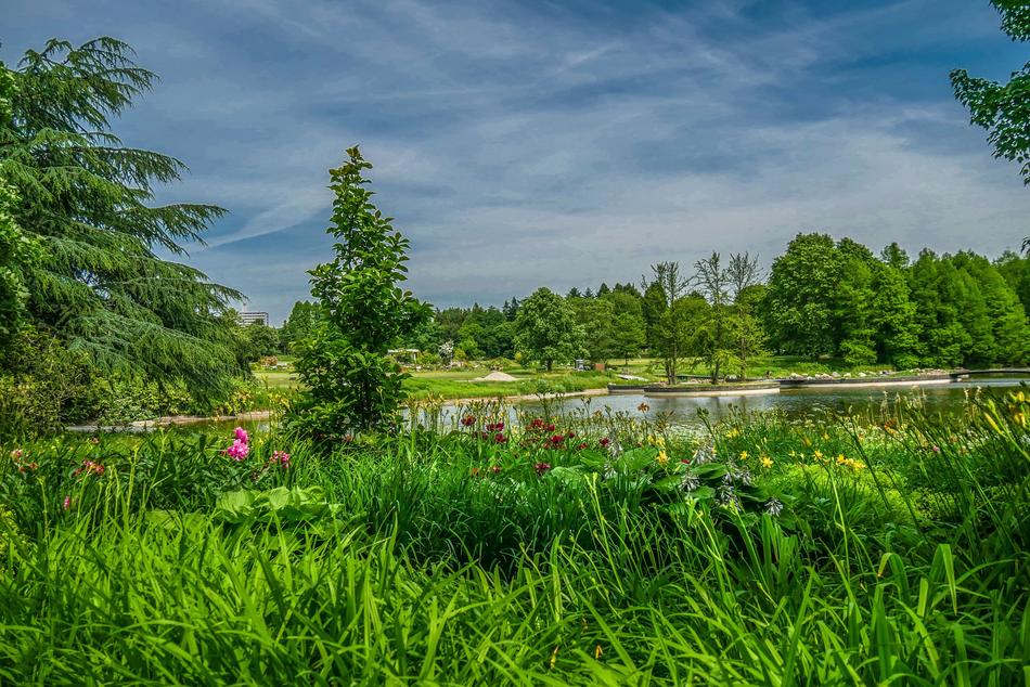 Nature Landscape Grass