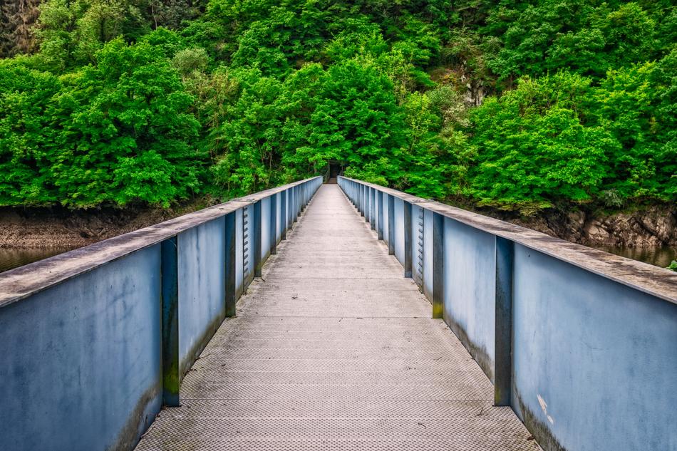 Bridge River Landscape