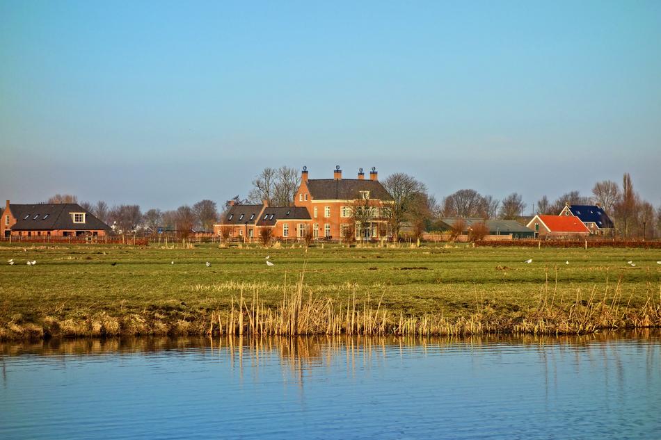 Manor Estate Field