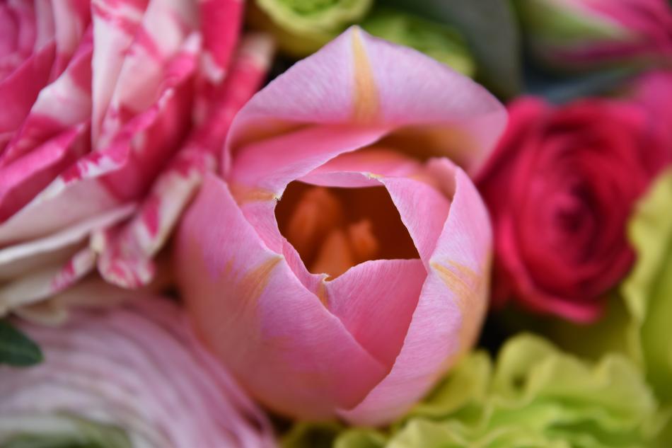 the rosebud is beautiful and unusual.